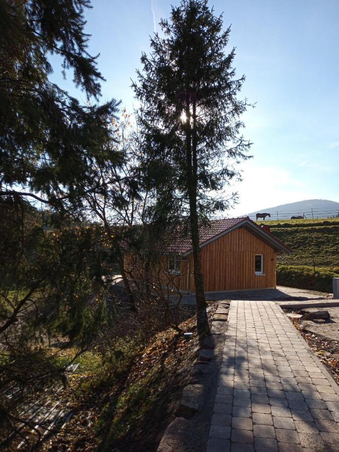 Vila S'Heimatgfuehl Schwarzenberg  Exteriér fotografie