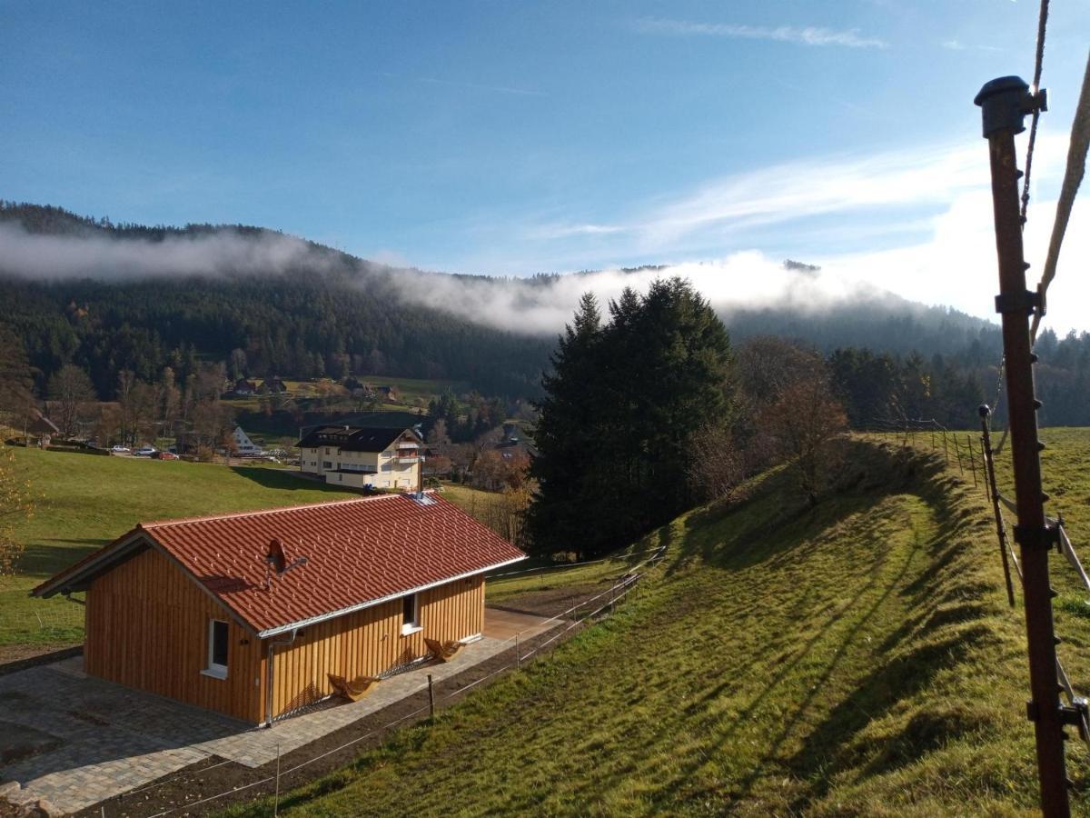 Vila S'Heimatgfuehl Schwarzenberg  Exteriér fotografie